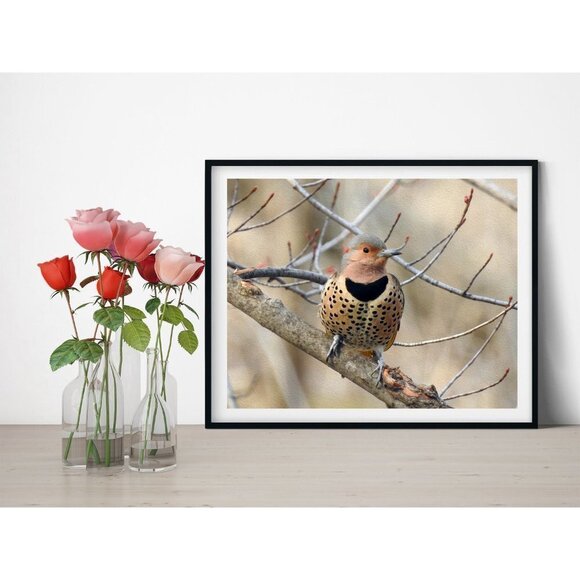 8x10‎ Northern Flicker Photography Oil Painting Print - Picture 1 of 4